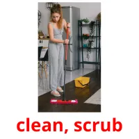 clean, scrub cartões com imagens