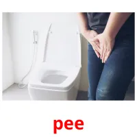 pee карточки энциклопедических знаний