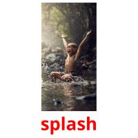 splash picture flashcards