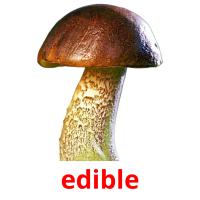 edible flashcards illustrate