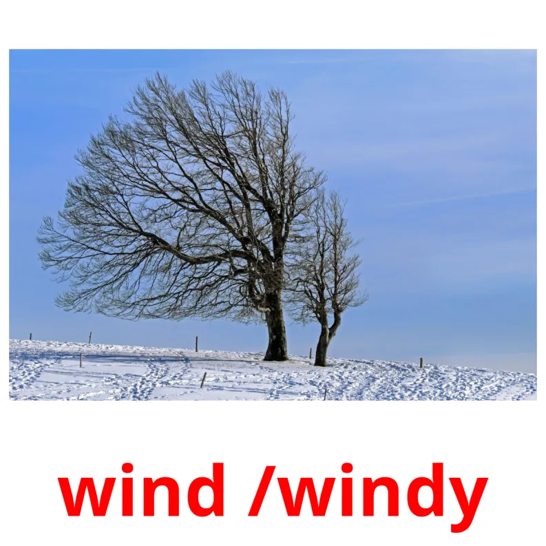 31 FREE Weather Flashcards PDF English Words
