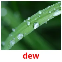 dew picture flashcards