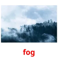 fog picture flashcards