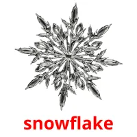 snowflake picture flashcards