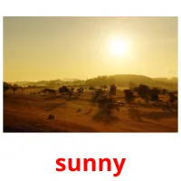 sunny picture flashcards