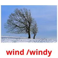 wind /windy picture flashcards