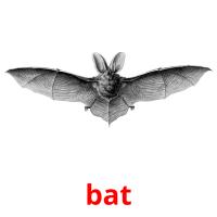bat picture flashcards