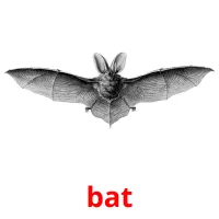 bat Bildkarteikarten