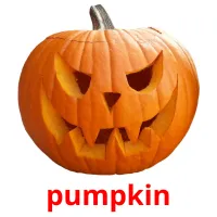 pumpkin Bildkarteikarten