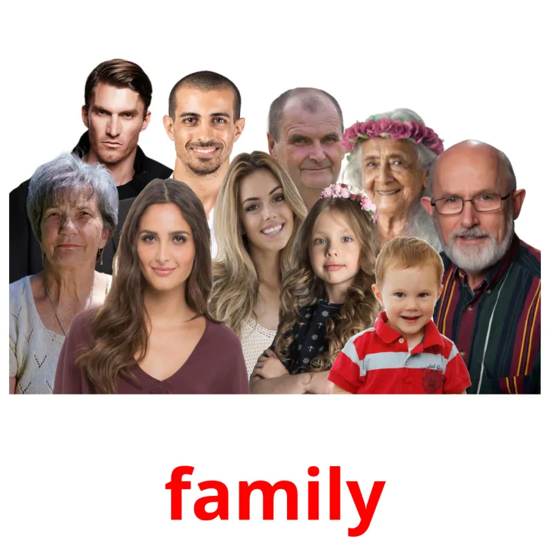 The Family Flashcards - Las Tarjetas De La Familia