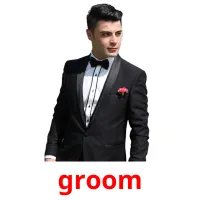 groom cartes flash