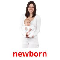 newborn picture flashcards