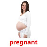 pregnant Tarjetas didacticas