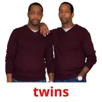 twins cartes flash