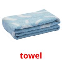 towel picture flashcards