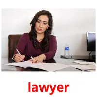 lawyer cartes flash