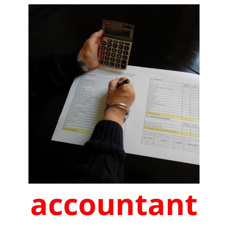 accountant Tarjetas didacticas