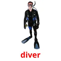 diver cartes flash