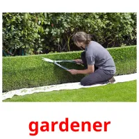 gardener cartes flash