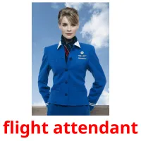 flight attendant карточки энциклопедических знаний