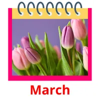 March flashcards illustrate