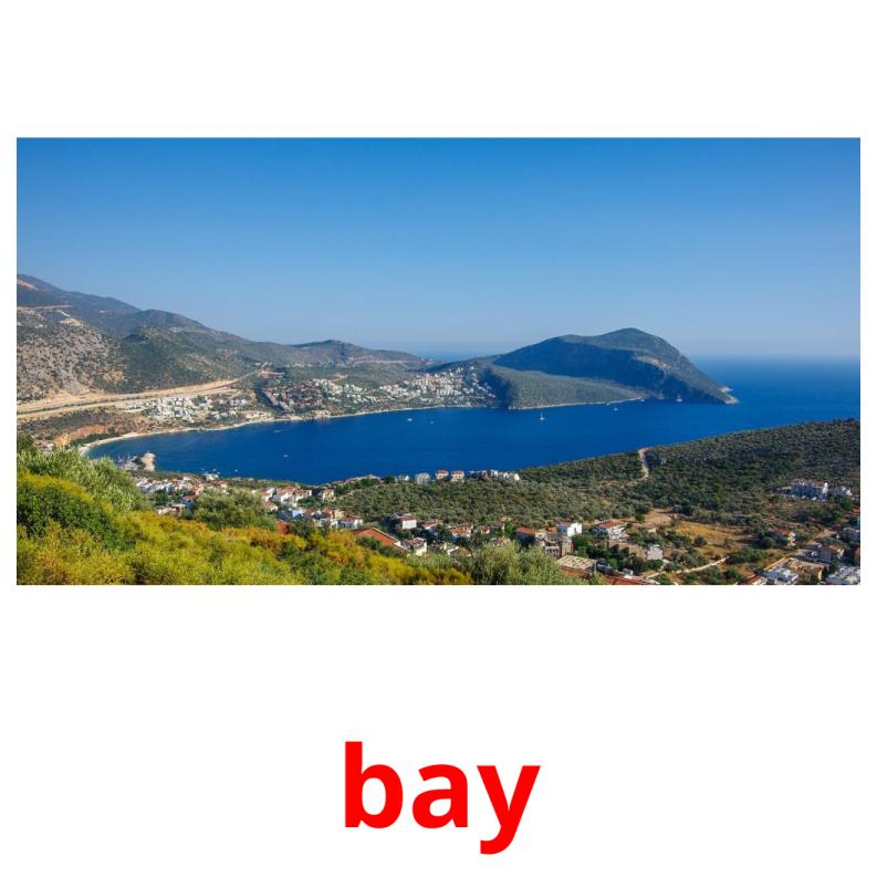 bay picture flashcards