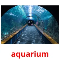 aquarium picture flashcards