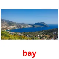 bay picture flashcards