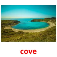 cove picture flashcards