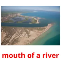 mouth of a river picture flashcards