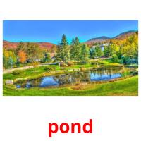 pond card for translate