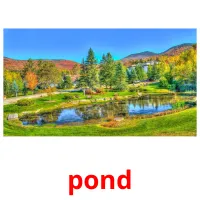 pond picture flashcards