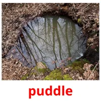 puddle picture flashcards