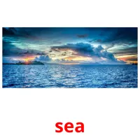 sea picture flashcards