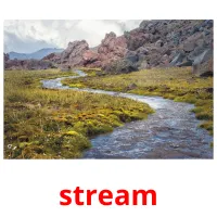 stream picture flashcards