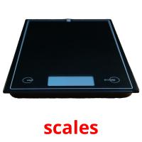 scales Bildkarteikarten