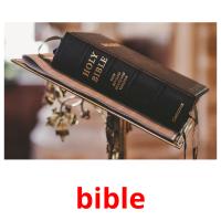bible Tarjetas didacticas