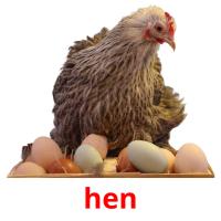 hen flashcards illustrate