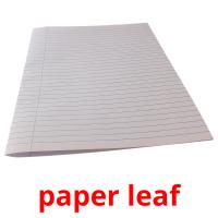 paper leaf picture flashcards