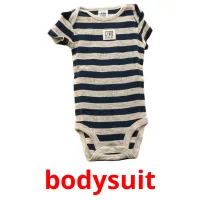 bodysuit карточки энциклопедических знаний