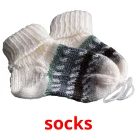 socks карточки энциклопедических знаний