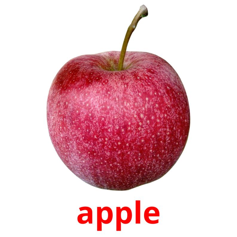 apple picture flashcards