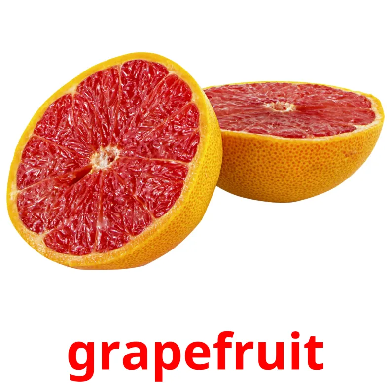 20 FREE Fruits Flashcards PDF English Words