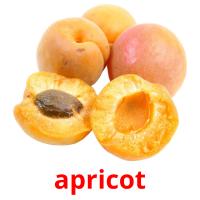 apricot Tarjetas didacticas