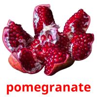 pomegranate picture flashcards