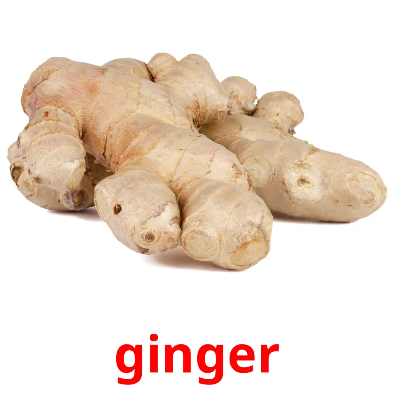 29 Tarjetas de Aprendizaje de Verduras GRATIS en PDF Imágenes en Inglés