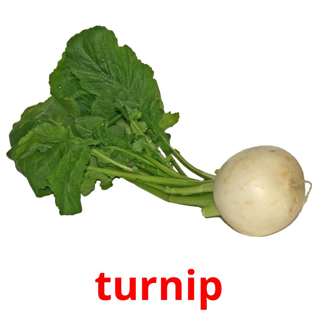 turnip.