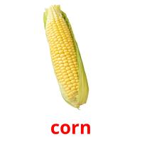 corn flashcards illustrate