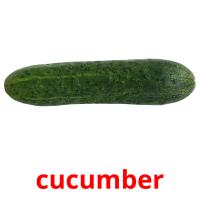 cucumber Tarjetas didacticas
