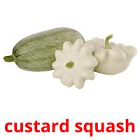 custard squash picture flashcards